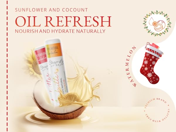 Lip Balm Hydrating Bulk Chap Stick with Fruit Flavors, Coconut Oil, Cocoa Butter - Christmas