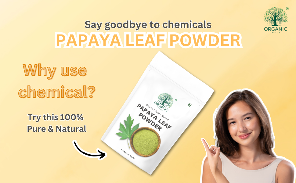 Papaya Leaf Powder