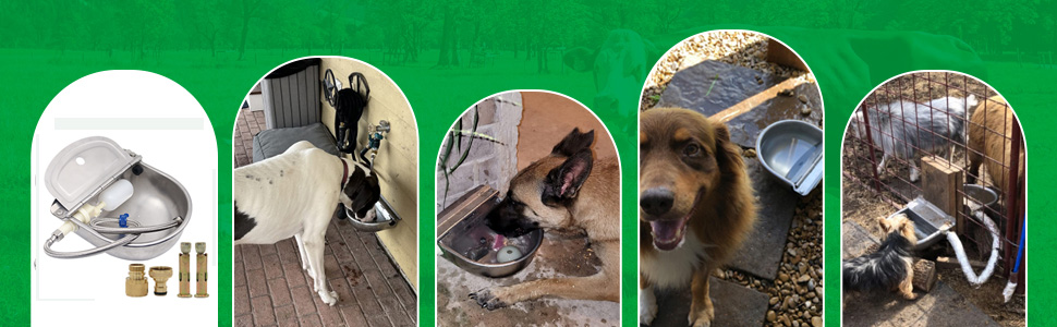 tigela de água automática