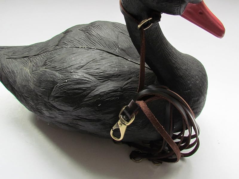 bird carrier strap