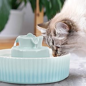 Open Drinking Bowl