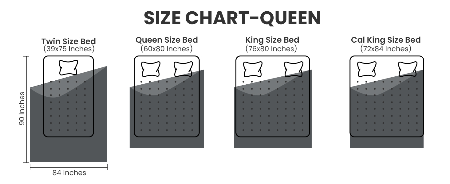 OldPAPA Heated Blanket Queen Size 84"x90", Dual Control