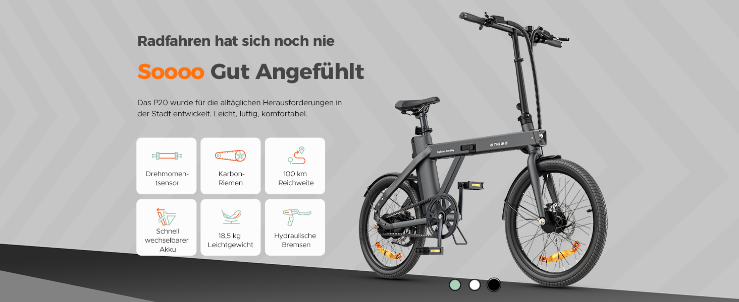 e fahrrad