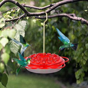 Hanging Hummingbird Feeders