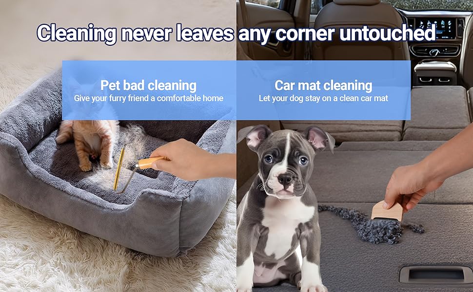 car pet hair removal tool