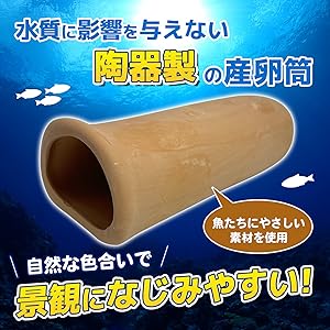 プレコ　産卵　陶器　シェルター　熱帯魚 公式】Shelta Crafta original | #熱帯魚シェルター