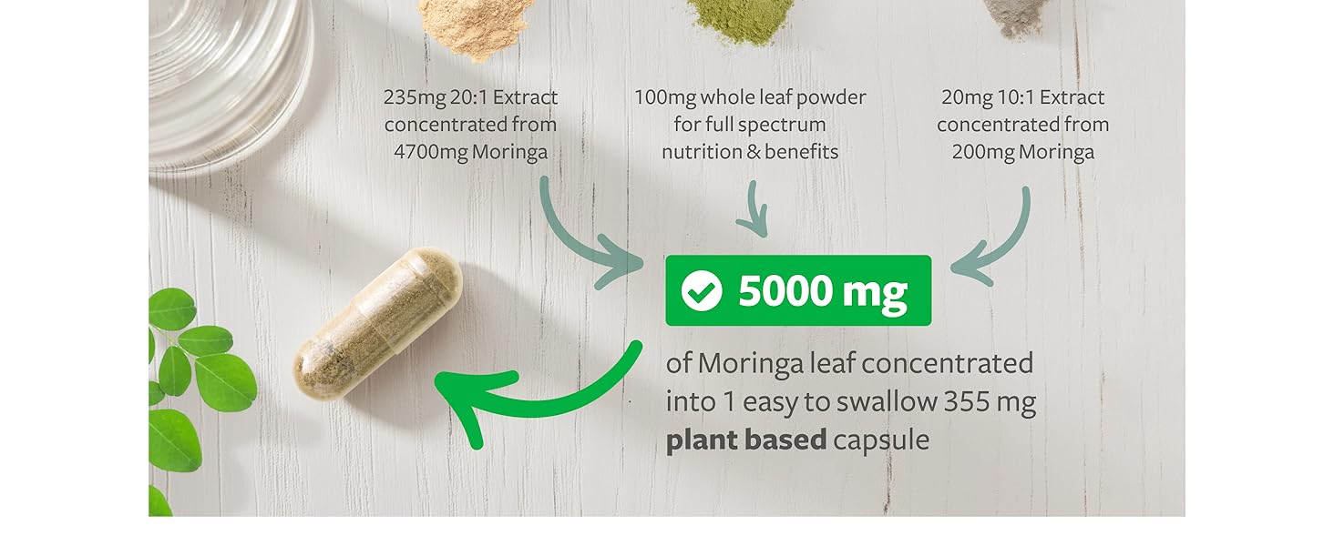 high strength moringa capsules