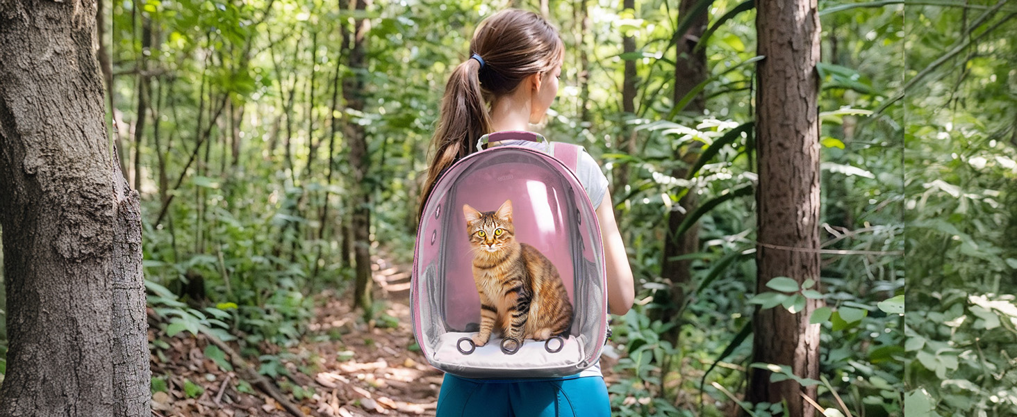 bubble cat carrier backpack