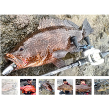 Amazon | 【TRANSCENDENCE/トランスセンデンス】Galupa86B+