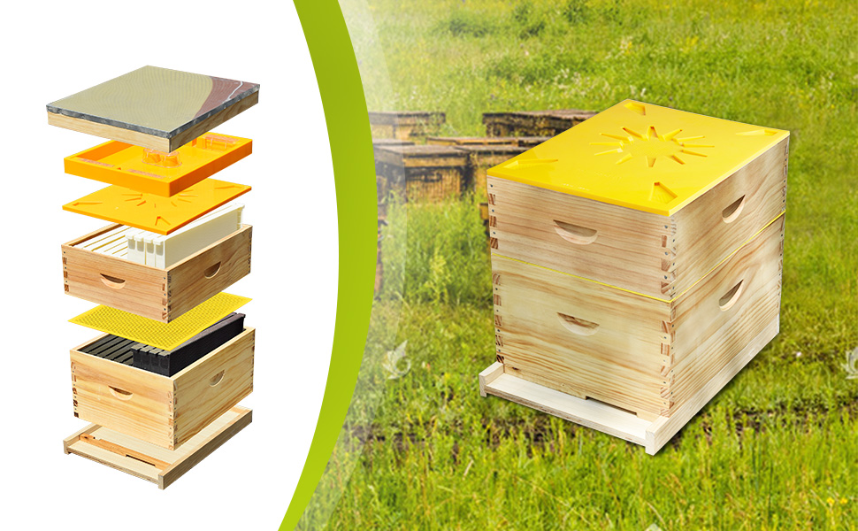 Amazon.com: Beehive Inner Cover Multifunction 10 Frame