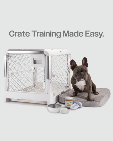 pet crate dog crate dog accessories dog chew dog crate bowl