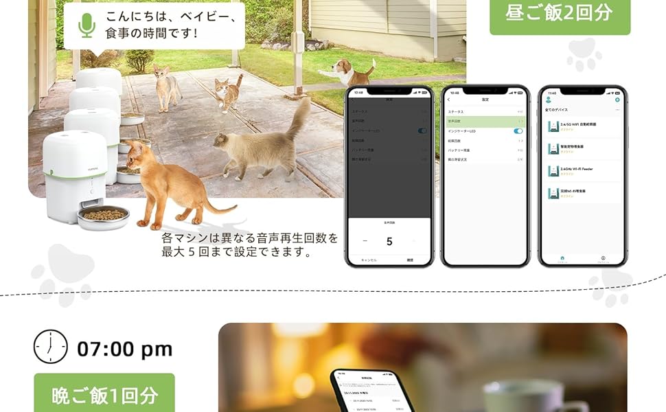 自動フィーダー猫