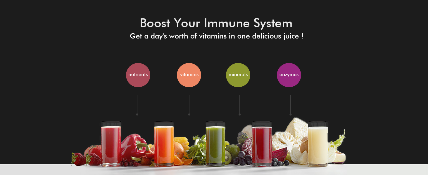 fruits juicer machine