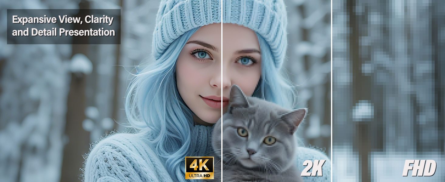 4k Dual Monitor