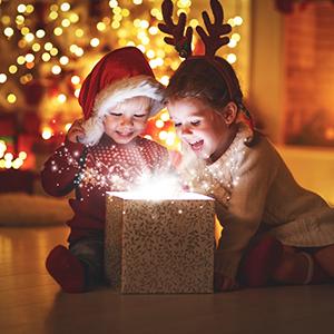 fairy lights plug in