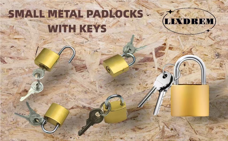 Luggage Locks