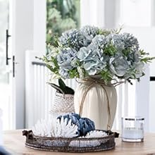 hydrangea with vase