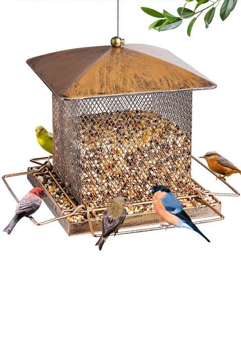 bird feeder