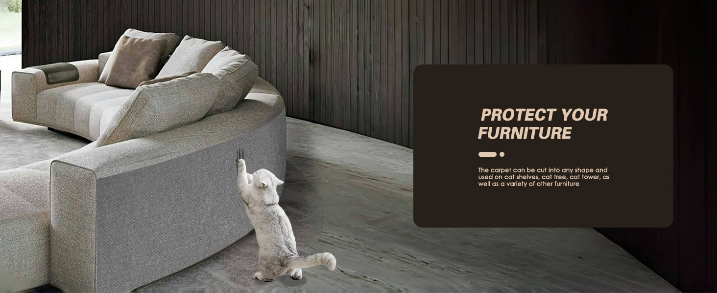 Cat Scratch Furniture Protector