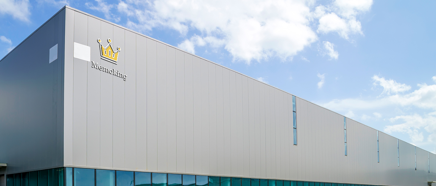 Memoking Portable Printers Wireless for Travel, M833