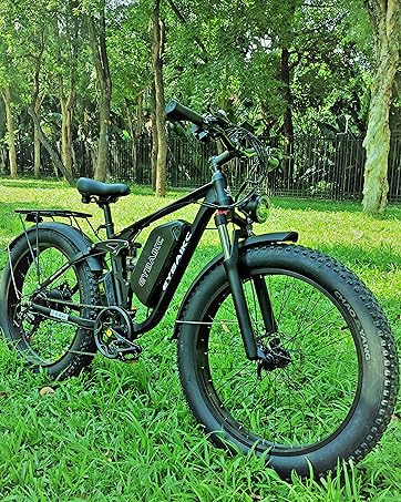 ebike