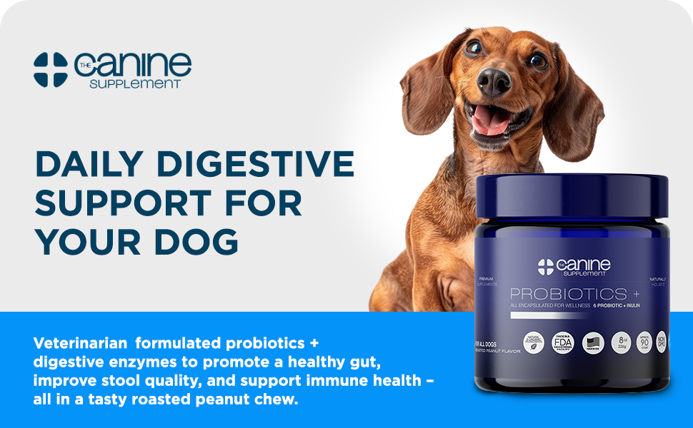 Probiotic 1