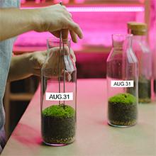 brother mk231 label tape 12mm 47