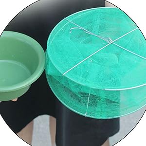 Ranch Fly Trap with Bait Tray