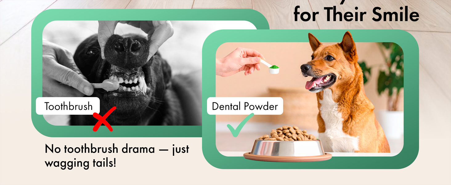 no toothbrush, just pet dental powder