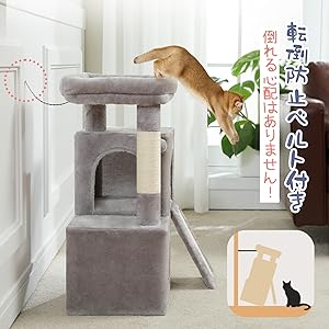 飼い主 リニューアル中】【日本製】【MAISON】スケルトンボウル付き