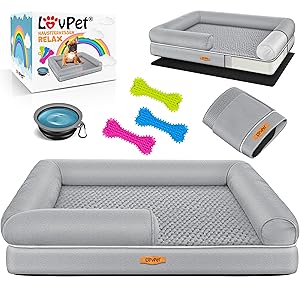 het beste huisdierbed voor je hond