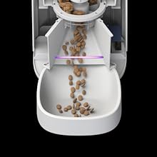 distributeur croquettes chat, conteneur croquettes chien