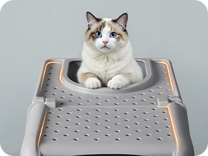 Eine weiße Katze mit blauen Augen sitzt in einem grauen Hochbett mit perforierter Metalloberfläche und Holzrahmen vor hellem Hintergrund