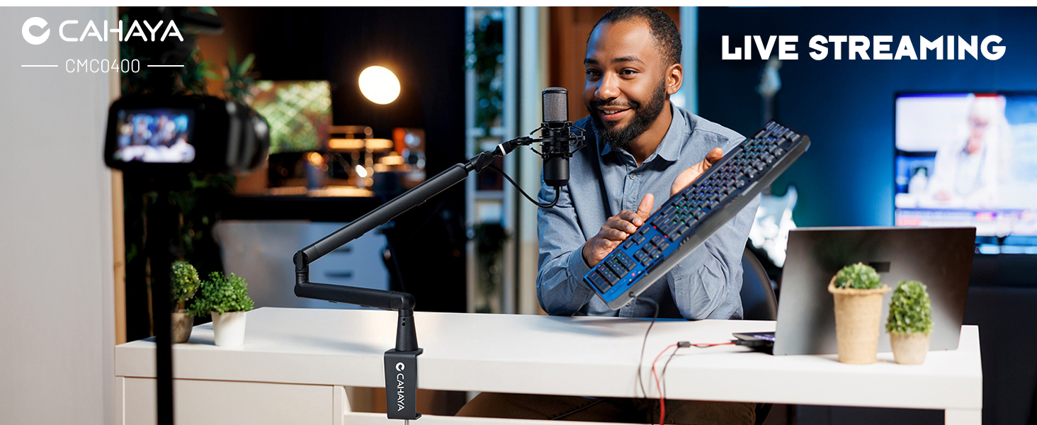 Live streaming  mdesk mic arm