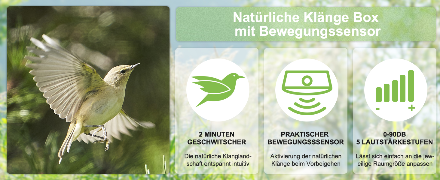 Natürliche Klänge Box mit Bewegungssensor