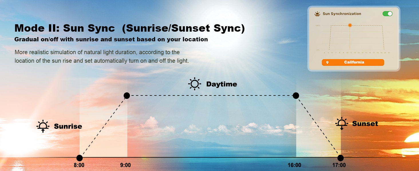 Sun Sync
