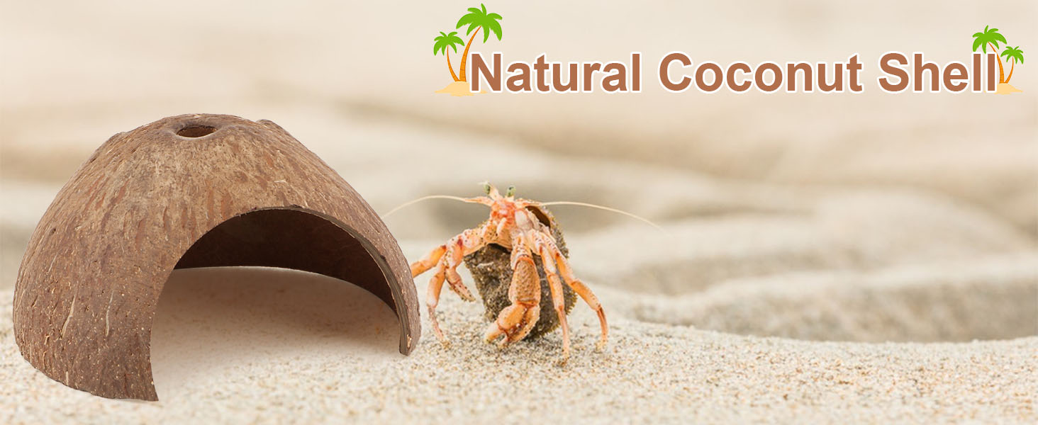 Reptile Habitat Hideout