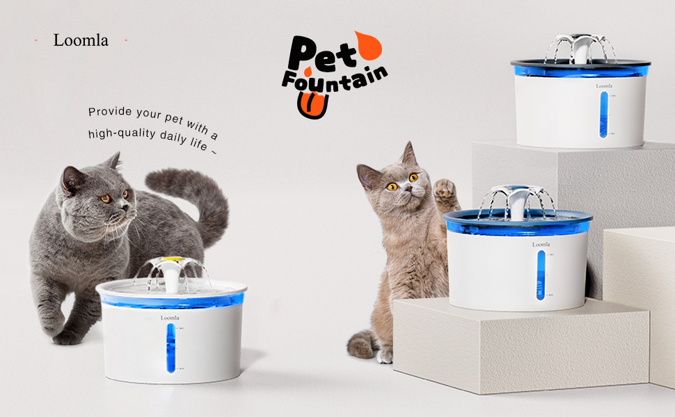 cat water foutain