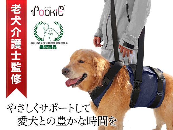 つかいふるしのいぬ Amazon | 型/中型犬用車 犬用車椅子 後足用の障害のある犬用