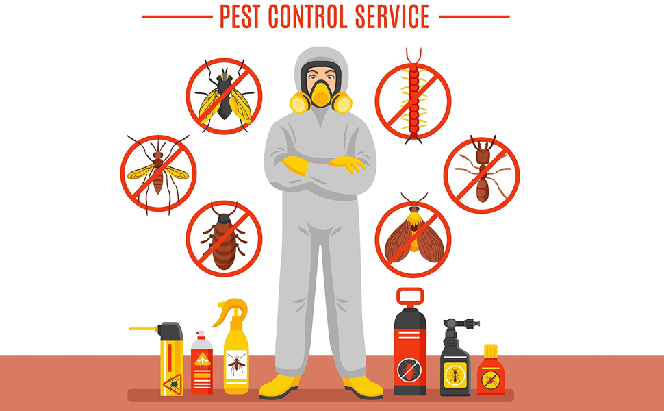 PRICE BEATER Pack of 50 Moth Balls, Natural Moth Balls, Old Fashioned