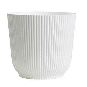white plant pot