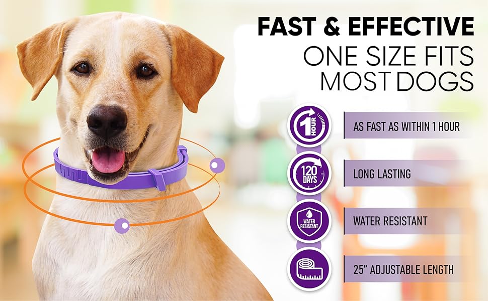 Pheromone Dog Calming Collars