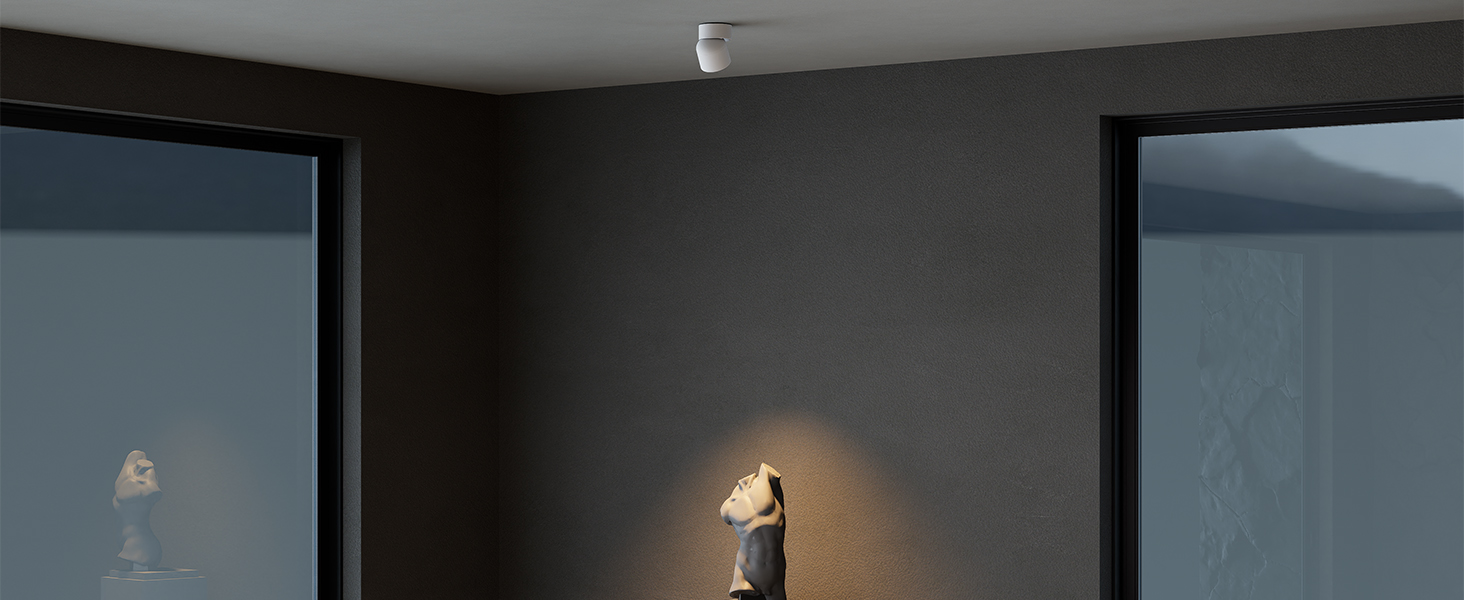 spotlight