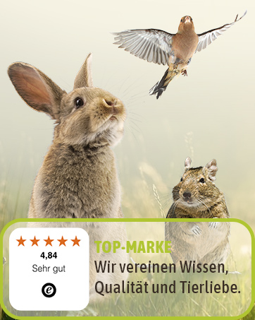 Der Text lautet „4,44“ und „TOP-MARKT“. „Wir vereinen Wissen, Qualität und Tiefliebe.“ Produktbewertungs- oder Bewertungsbild mit Kaninchen und kleinem Vogel.