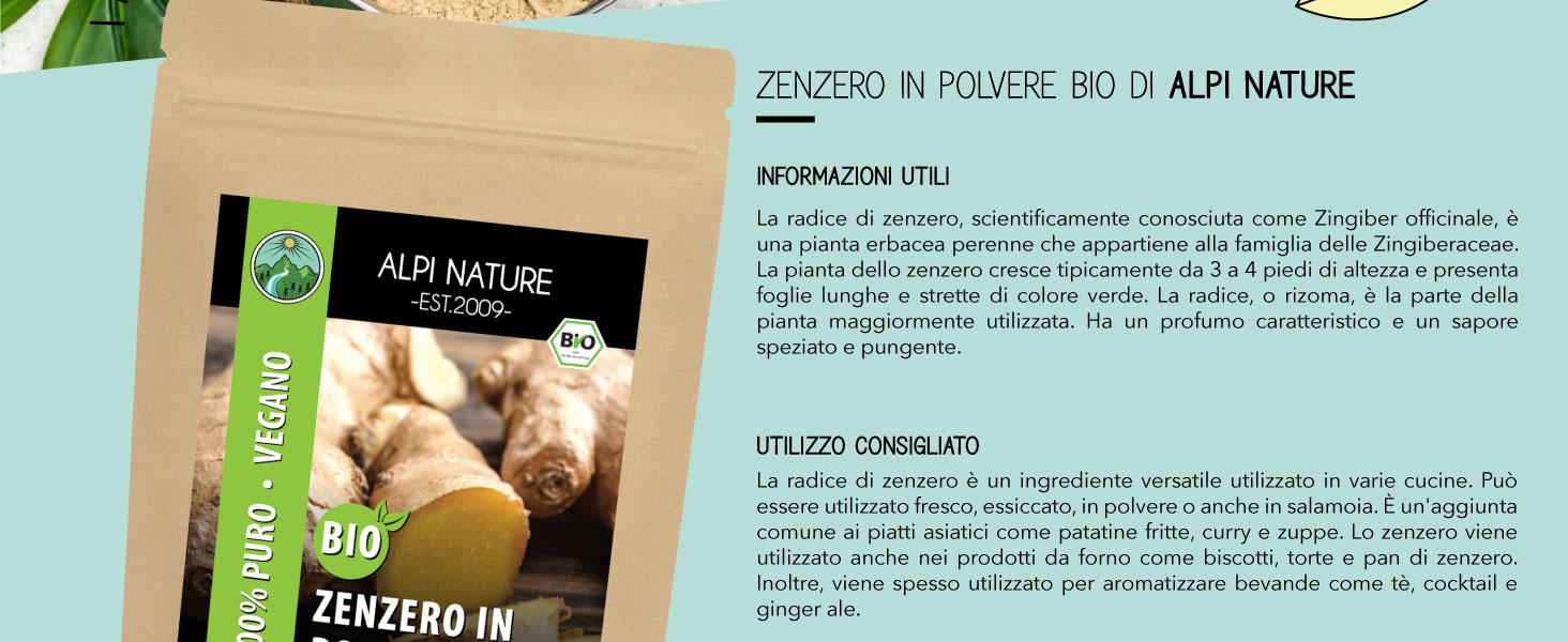 Ginger powder - Alpi Nature
