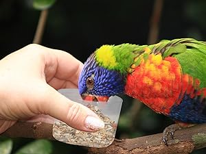 bird seed storage container bird food container bird feeder outdoor wild bird seed storage