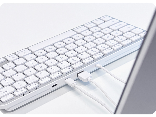 Amazon.com: Macally Small Keyboard for Mac with USB Hub (3