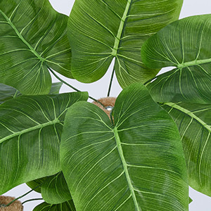 scratching post for cats