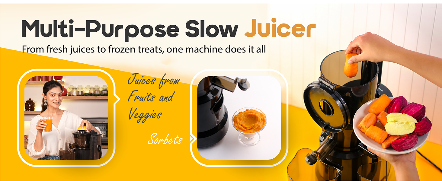 carrot beetroot juicer machine for home hand juicer for home vegetable juicer cold press juicer