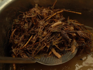 Small manufacture image 7